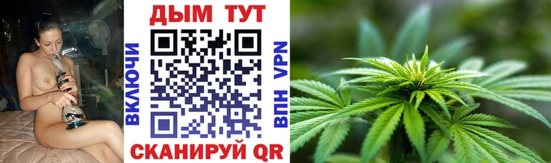 Конопля Каменногорск