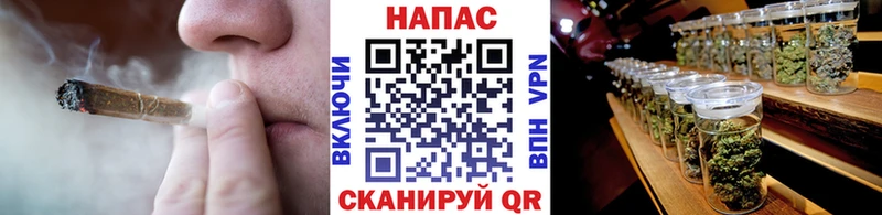 Цена Каменногорск Alpha-PVP  Меф мяу мяу  Каннабис 