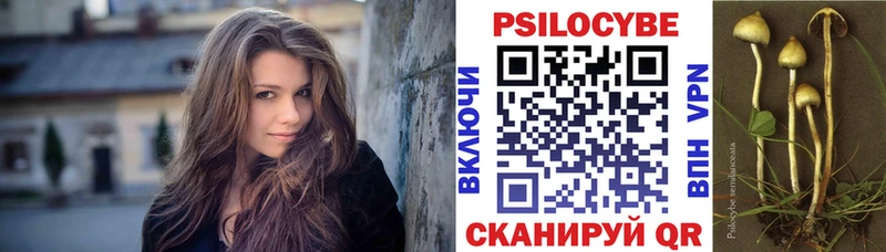 даркнет сайт Каменногорск Псилоцибиновые грибы Psilocybine cubensis